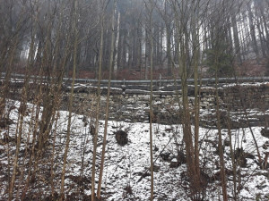 ŘSD chystá rekonstrukci silnice I/14 mezi Rokytnicí a Jabloncem nad Jizerou