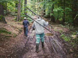V Jizerských horách jsou tisíce ptačích budek. Čistí, opravují a monitorují je Lesy ČR