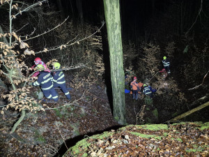 Noční zásah hasičů: s pomocí speciální záchranné sítě vytahovali v Českém ráji kobylu z 50 metrů hluboké rokle