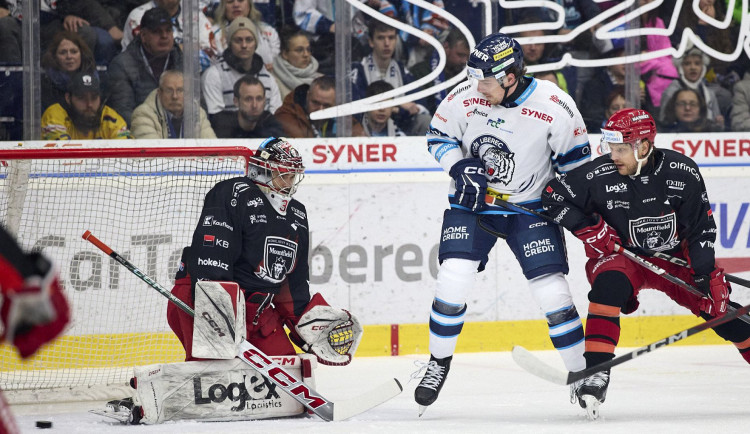 Další domácí výhra Tygrů. Hradec Králové doma porazili 4:1