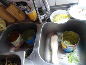 Hygienici uzavřeli kvůli špíně a dalším prohřeškům vietnamskou restauraci Hanoi ve Cvikově