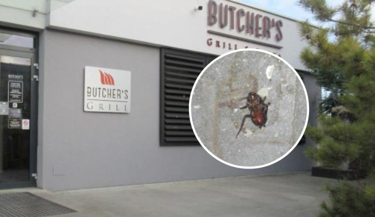 Švábi a špína v kuchyni i skladu. Inspektoři částečně uzavřeli brněnskou restauraci