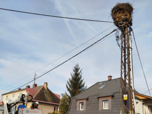 Staré hnízdo čápů