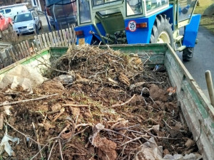 Staré čapí hnízdo bylo zlikvidováno