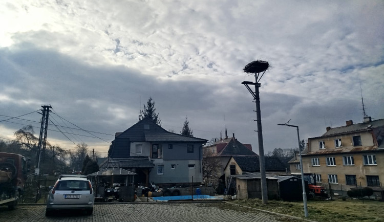 Vpravo nové hnízdo, vlevo sloup, kde bývalo hnízdo staré