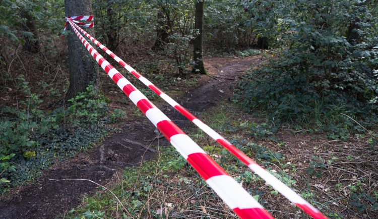 Policisté prověřují napadení ženy na Brněnsku. Podezřelý útočník je zadržený, žena je zraněná