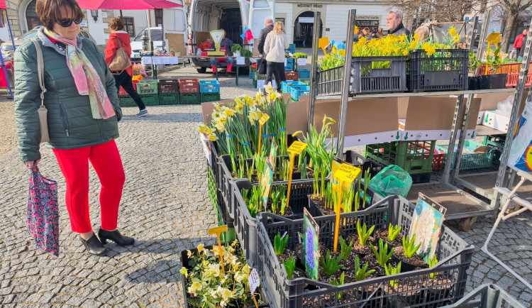 Trhy ve Vyškově zahájily novou sezónu. Centrum města jimi ožije každou druhou středu