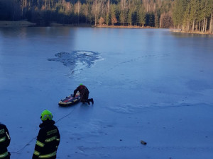 Jedenáctiletá fenka uvízla v Horní Branné v díře v ledu na rozmrzajícím rybníce. Na břeh ji hasiči dostali pomocí paddleboardu