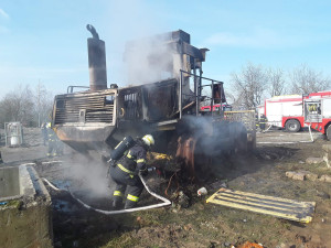 Jedenáctiletá fenka uvízla v Horní Branné v díře v ledu na rozmrzajícím rybníce. Na břeh ji hasiči dostali pomocí paddleboardu