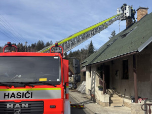 Jedenáctiletá fenka uvízla v Horní Branné v díře v ledu na rozmrzajícím rybníce. Na břeh ji hasiči dostali pomocí paddleboardu
