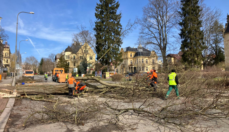 Ve Vítězné proběhlo kácení stromů. Začne rekonstrukce ulice