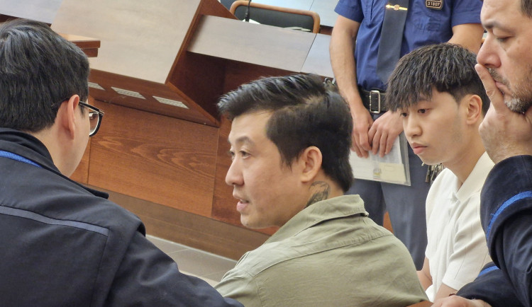 V Liberci začal soud s mužem, který sekáčkem vážně zranil manželský pár