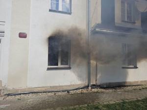 Hasiči při požáru v Horním Růžodole zachránili kočku. Poskytli jí kyslíkovou terapii