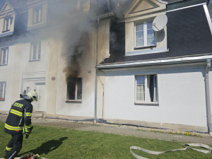 Hasiči při požáru v Horním Růžodole zachránili kočku. Poskytli jí kyslíkovou terapii