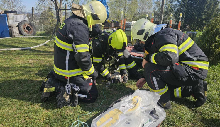 Hasiči při požáru v Horním Růžodole zachránili kočku. Poskytli jí kyslíkovou terapii