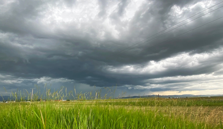 Během týdne se začne postupně ochlazovat. Dorazit mohou první bouřky