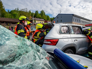 Nejlepší ve vyprošťování jsou v kraji profíci z Jablonce a dobráci z České Lípy