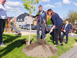 V Hrádku vysadili strom na památku dlouholetého starosty města. Zemřel před rokem