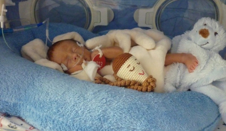 Mateřský dotek léčí, věří lékaři v Brně. Ročně pečují o stovky nedonošených dětí