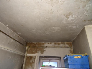 Inspektoři zavřeli kvůli špíně a plísni výrobu a rozvoz jídel U Vomáčků ve Svoru