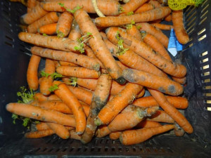 Inspektoři zavřeli kvůli špíně a plísni výrobu a rozvoz jídel U Vomáčků ve Svoru