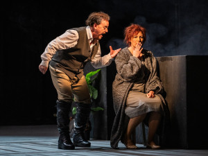 Liberecká opera probouzí po půl století k životu Maryšu s hudbou E. F. Buriana