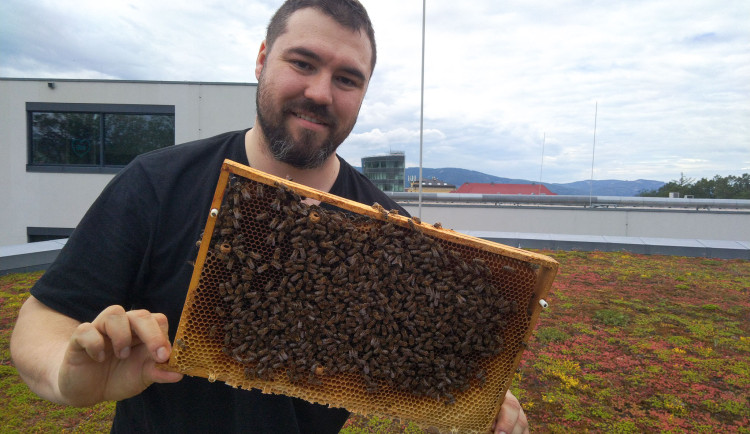 V kampusu liberecké univerzity vyroste naprostý unikát - originální apidomek