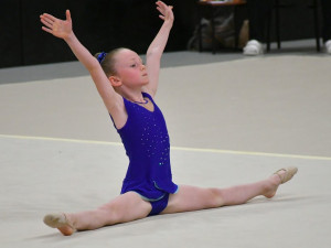 Dva tituly přebornice oblasti pro moderní gymnastky z Liberce. Celkem získaly 25 medailí