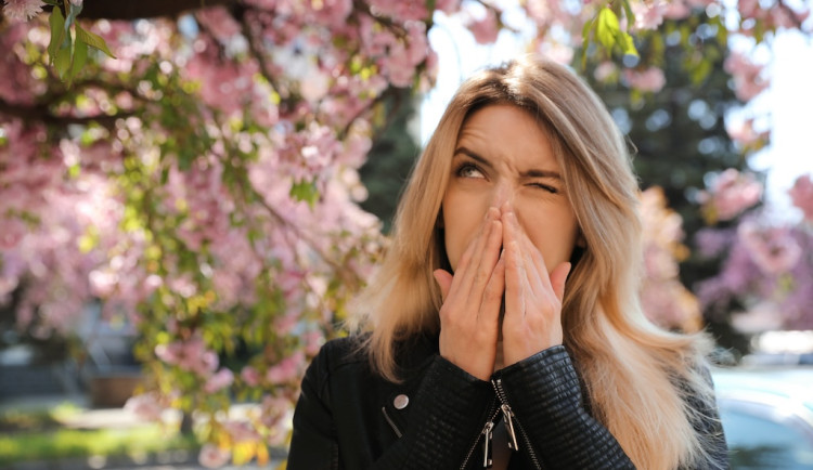 Jaro bez alergií: Co pomůže proti pylům a prachu?