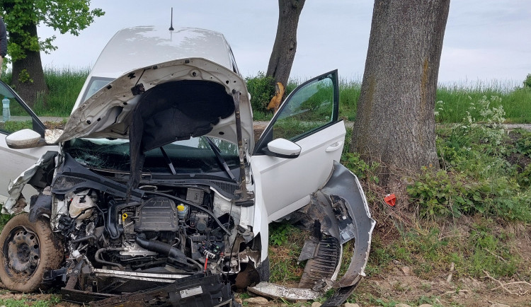 Řidička se nevěnovala řízení, po nárazu do stromu zničila svojí Škodu Fabia