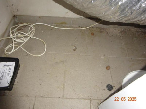 Hmyz, trus i mrtvý hlodavec. Inspekce zavřela suterén restaurace ve Frýdštejně