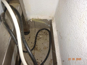 Hmyz, trus i mrtvý hlodavec. Inspekce zavřela suterén restaurace ve Frýdštejně