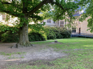 Obnova parku u Severočeského muzea v Liberci za 44 milionů má začít v pátek