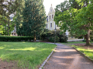 Obnova parku u Severočeského muzea v Liberci za 44 milionů má začít v pátek