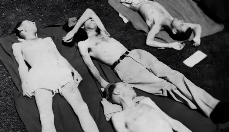 Minnesotský hladový experiment: příběh jednoho z nejkontroverznějších výzkumů