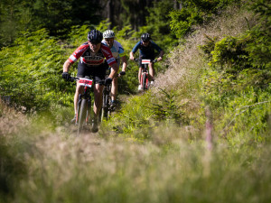 Milos Lubaswww.miloslubas.cz