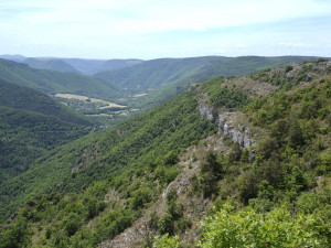 Orlosup odchovaný adoptivním párem z liberecké zoo byl vypuštěn do volné přírody