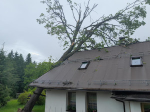 Vzrostlý strom spadl na štít domu v Liberci Kunraticích. Pomohli hasiči