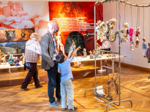 Výstava v Severočeském muzeu ukazuje loutkářské začátky studentů DAMU