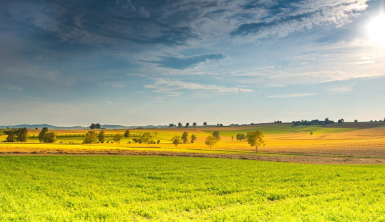 V týdnu dorazí léto. Teploty se dostanou k tropické třicítce