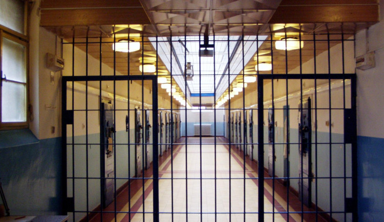 Žena v Liberci přihlížela zneužívání svých dcer, k muži je sama za peníze vodila