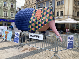 Mezinárodní loutkářský festival Mateřinka začíná, nafukovací sloni už vlají