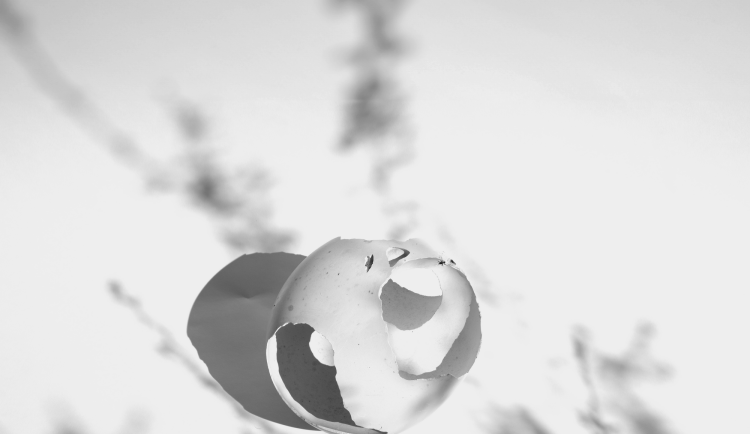 Letní sezona v AJG na Hluboké láká třemi výjimečnými výstavními projekty