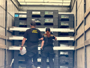 Detektor tlukotu srdce či termovize. Čeští a němečtí policisté hledali nelegální migranty