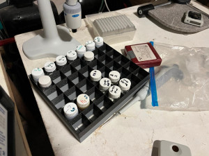 Nebezpečná militantní skupina s centrem v krytu pod Sokolákem. V Liberci cvičí pluk chemiků