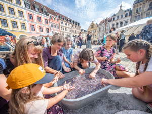 Festival Crystal Valley Week 2025 prozáří Liberec na konci prázdnin