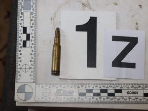 Zásahovka udeřila ve Dvoře Králové nad Labem, došla si pro nebezpečný gang