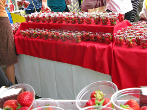 Jahodová neděle odstartuje libereckou letní sezónu na náměstí