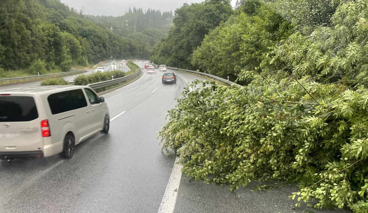 Po bouřce byly hlášené popadané stromy i přerušené vedení. Hasiči hledali plavce na Mácháči