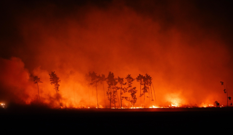 Zápach kouře a horší viditelnost v kraji má na svědomí rozsáhlý lesní požár v Německu